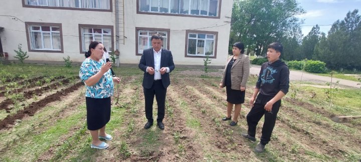 «Мектеп жанындағы бұталы-көшеттік тәлімбақ» жобасы