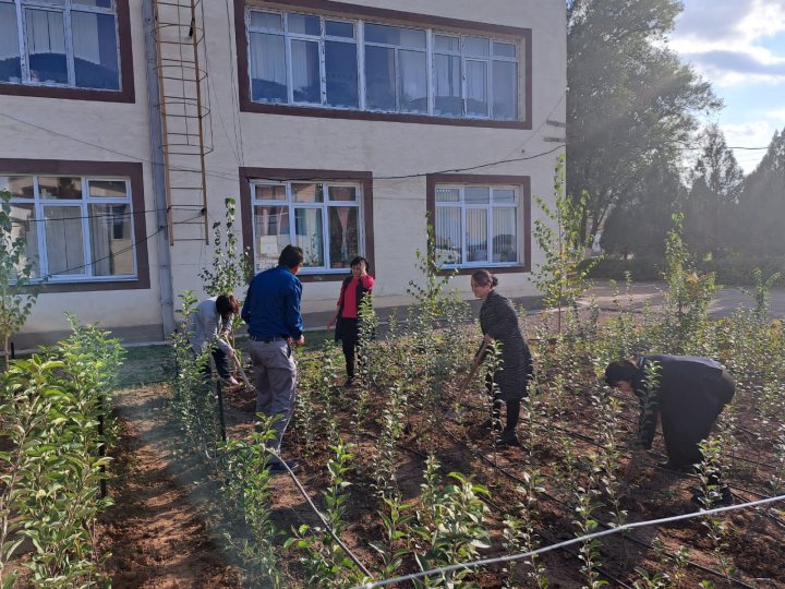 Мектептегі жобалар